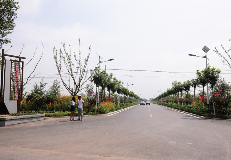 兗州大安鎮道路