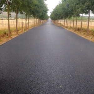 濟寧祥濟路廖河公園道路竣工